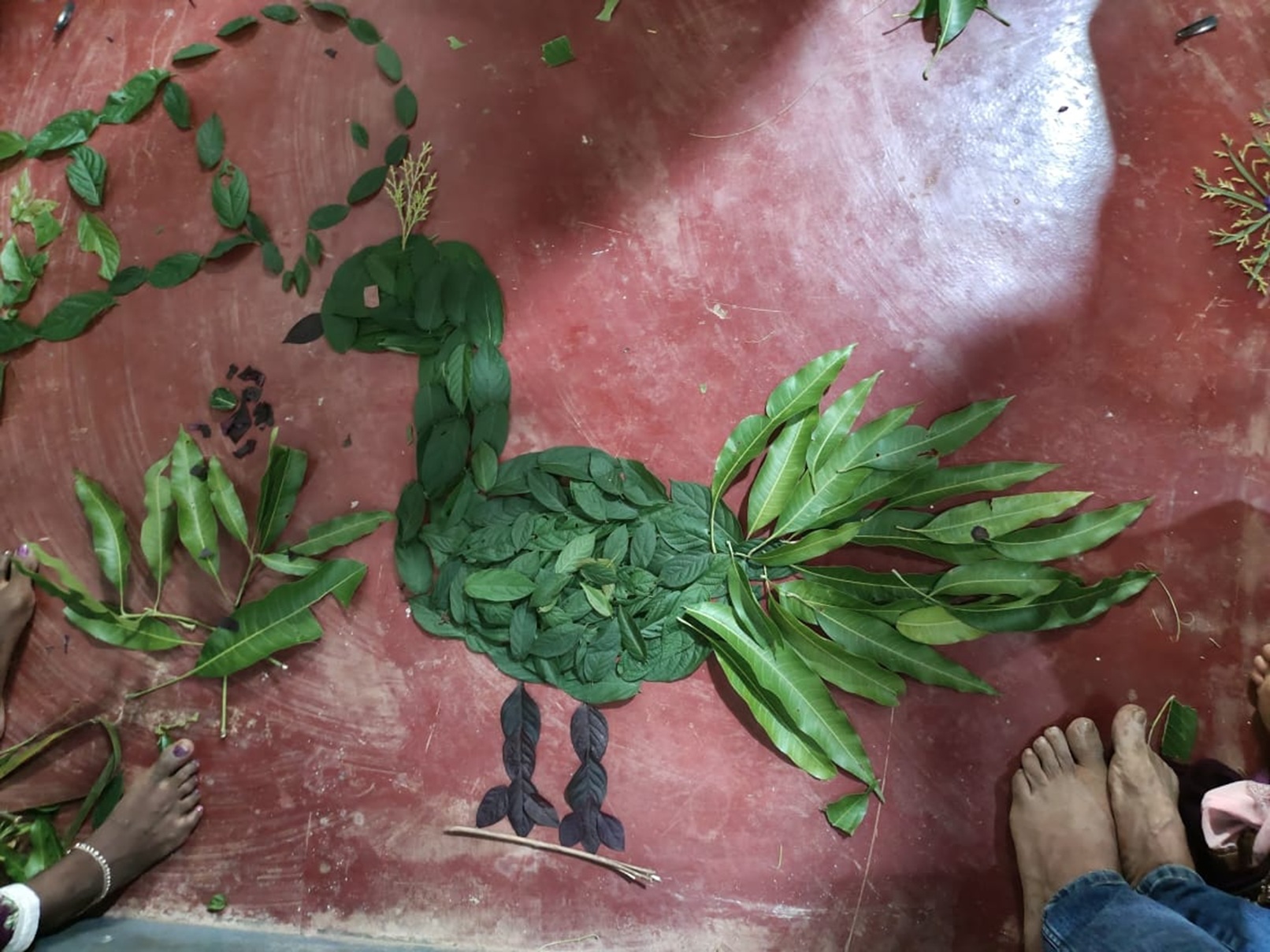 ಎಲೆಗಳಲ್ಲಿ ಒಡಮೂಡಿದ ನವಿಲು