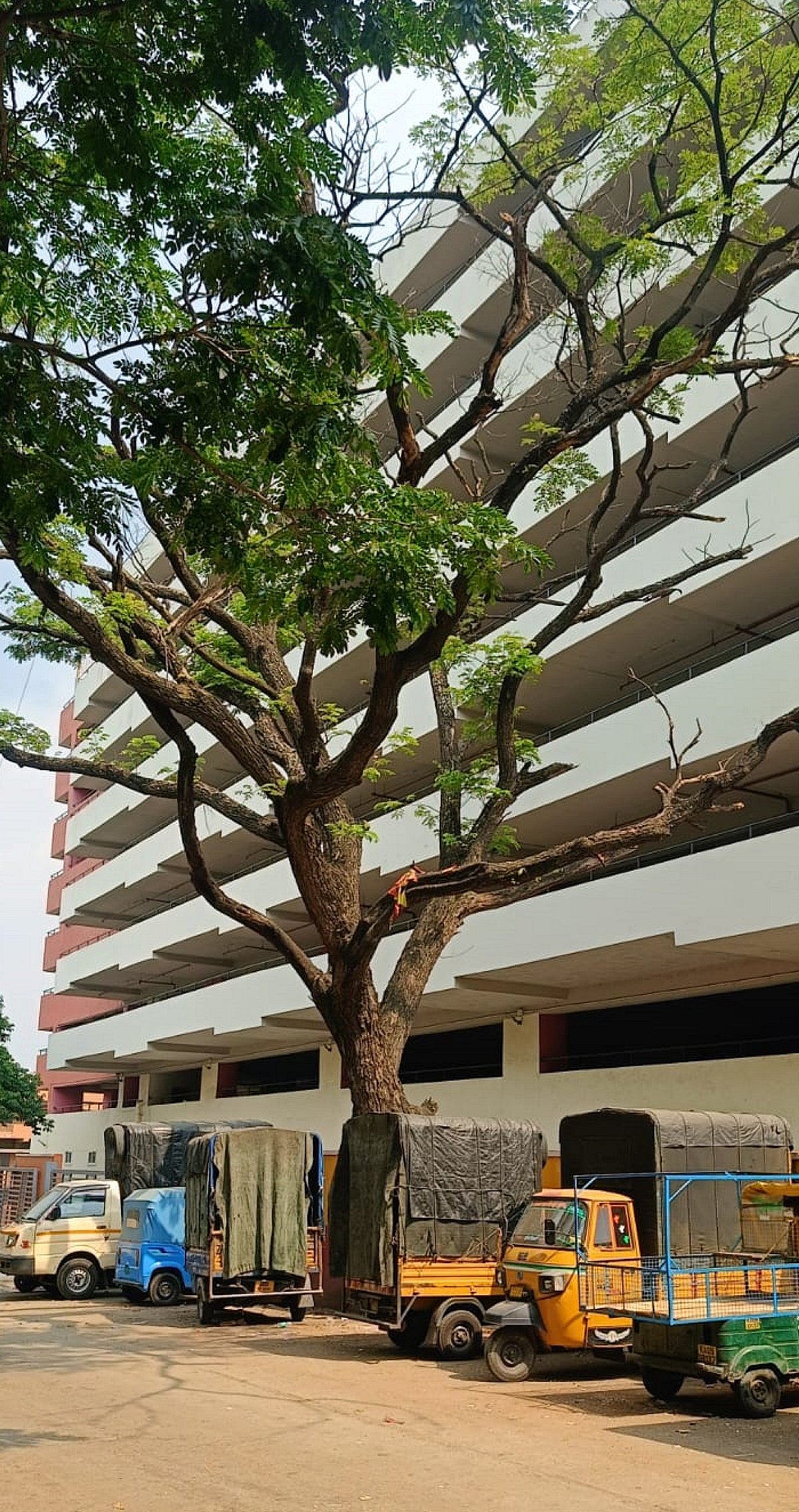 ಯಶವಂತಪುರ ಎಪಿಎಂಸಿ: ಬಹುಮಹಡಿ ಕಟ್ಟಡವಿದ್ದರೂ ತಪ್ಪದ ಸಂಕಟ