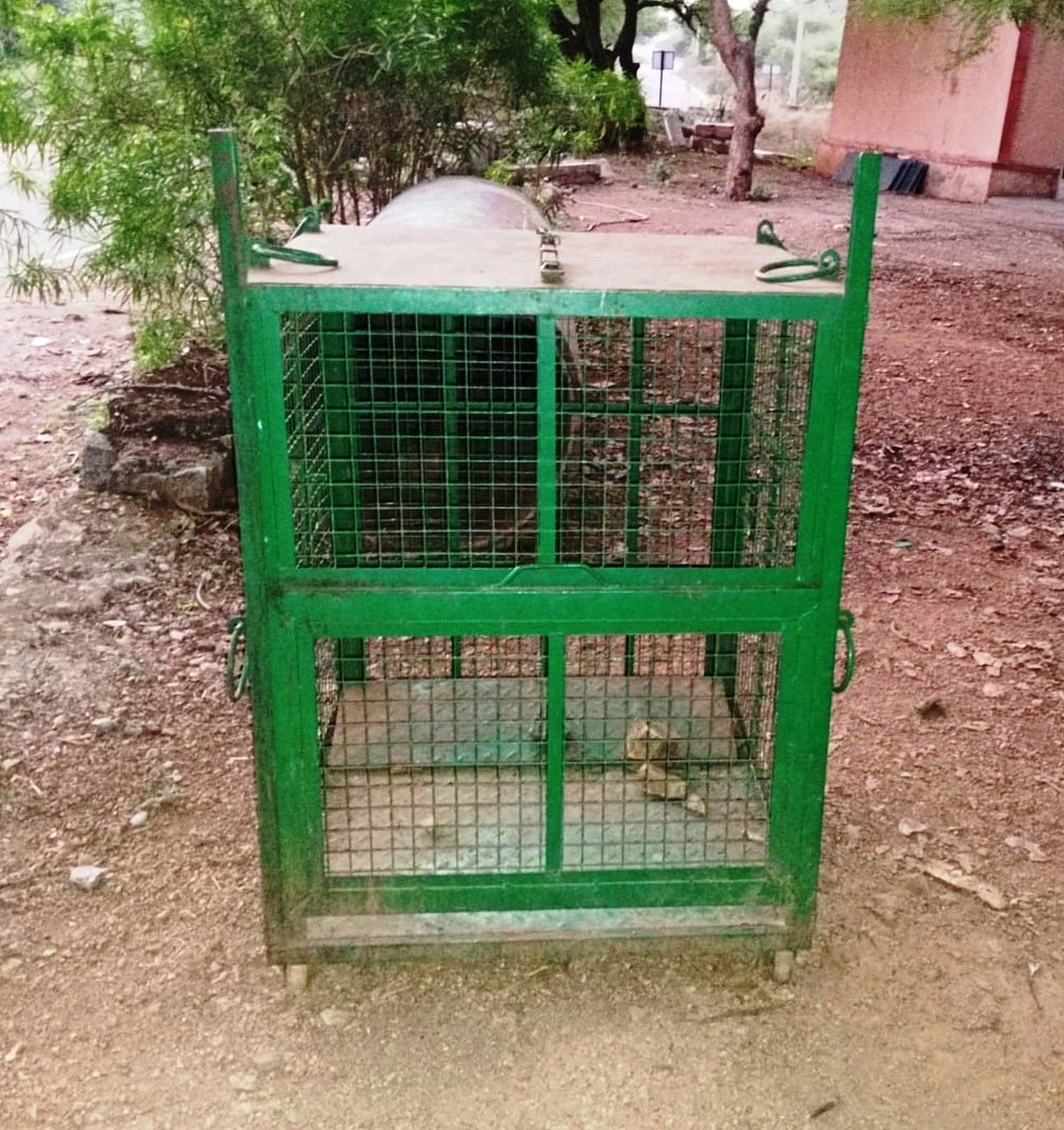 ಮಂಗ ದಾಳಿ: ಯುವಕನಿಗೆ ಗಾಯ