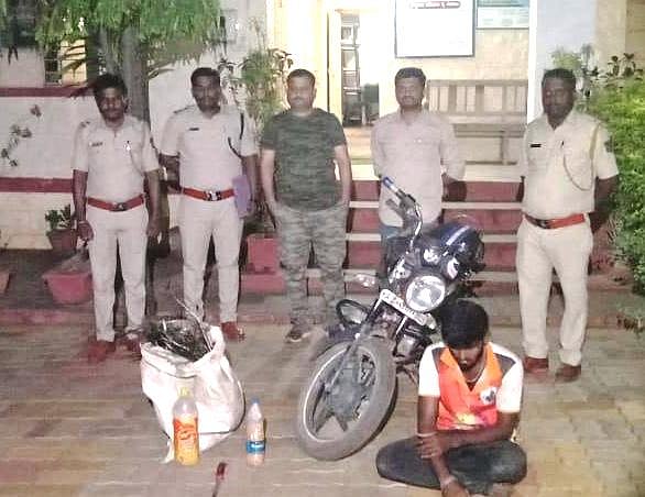 ನವಿಲು ಬೇಟೆ: ಒಬ್ಬನ ಬಂಧನ