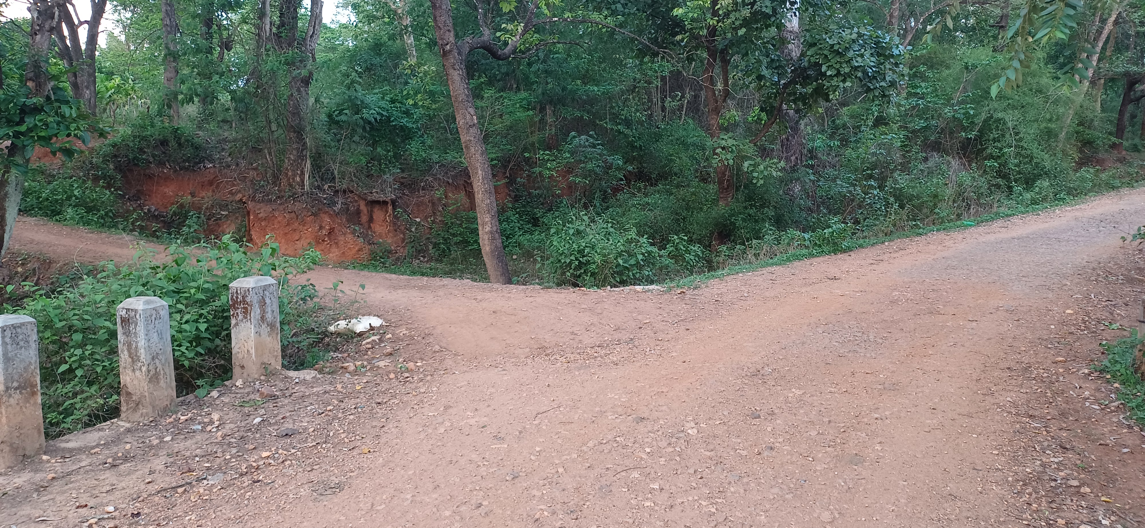 ಶಿವಮೊಗ್ಗ ತಾಲ್ಲೂಕಿನ ಸನ್ನಿವಾಸ ಹಾಗೂ ಹೊರಬೈಲು ಗ್ರಾಮಗಳ ಸಂಪರ್ಕ ರಸ್ತೆಗೆ ಅಡ್ಡಲಾಗಿ (ಎಡಕ್ಕೆ) ಪರ್ಯಾಯ ಮಾರ್ಗ
