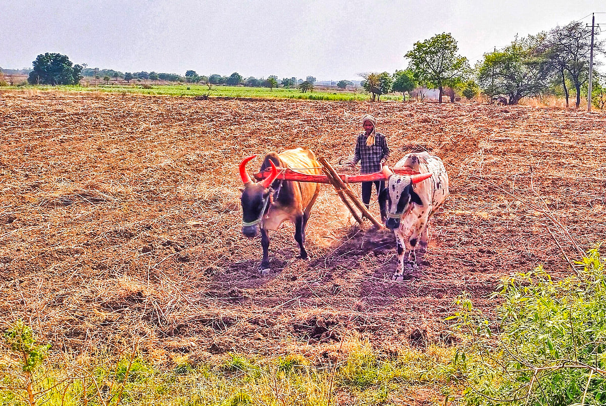 ಉರಿಬಿಸಿಲು; ಕೃಷಿ ಕಾರ್ಯಕ್ಕೆ ತೊಡಕು