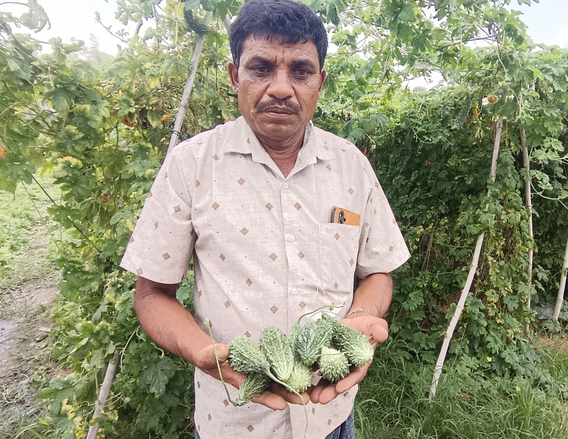 ರೈತ ಜಯರಾಮ್ ರೆಡ್ಡಿ ಹಾಗಲಕಾಯಿ ಕೈಯಲ್ಲಿ ಹಿಡಿದು ನೋವು ತೋಡಿಕೊಂಡರು.