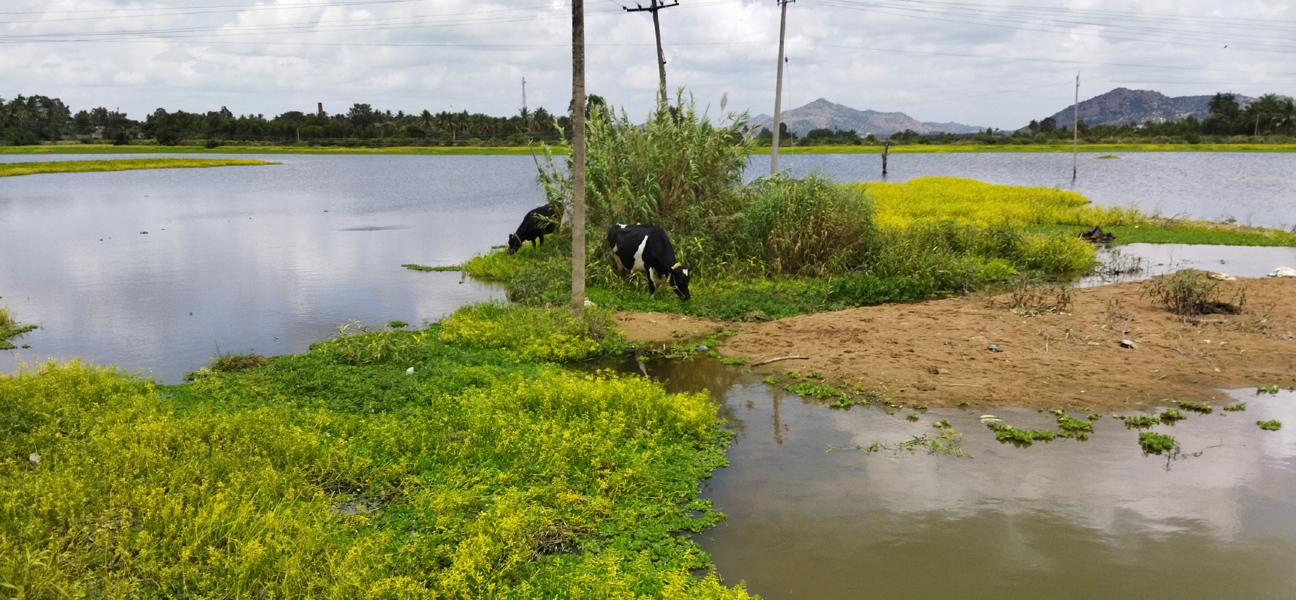 ಕೋಲಾರ ತಾಲ್ಲೂಕಿನ ಲಕ್ಷ್ಮಿಸಾಗರ ಬಳಿಯ ಕೆರೆ