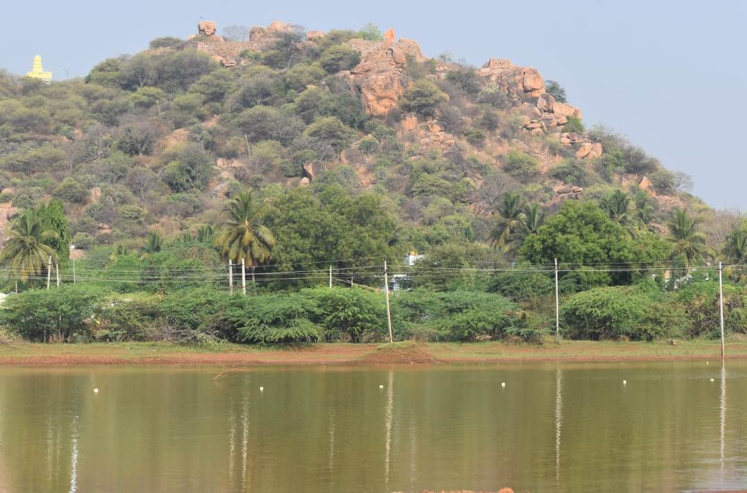 ವೇಣುಕಲ್ಲುಗುಡ್ಡ ಬೆಟ್ಟ