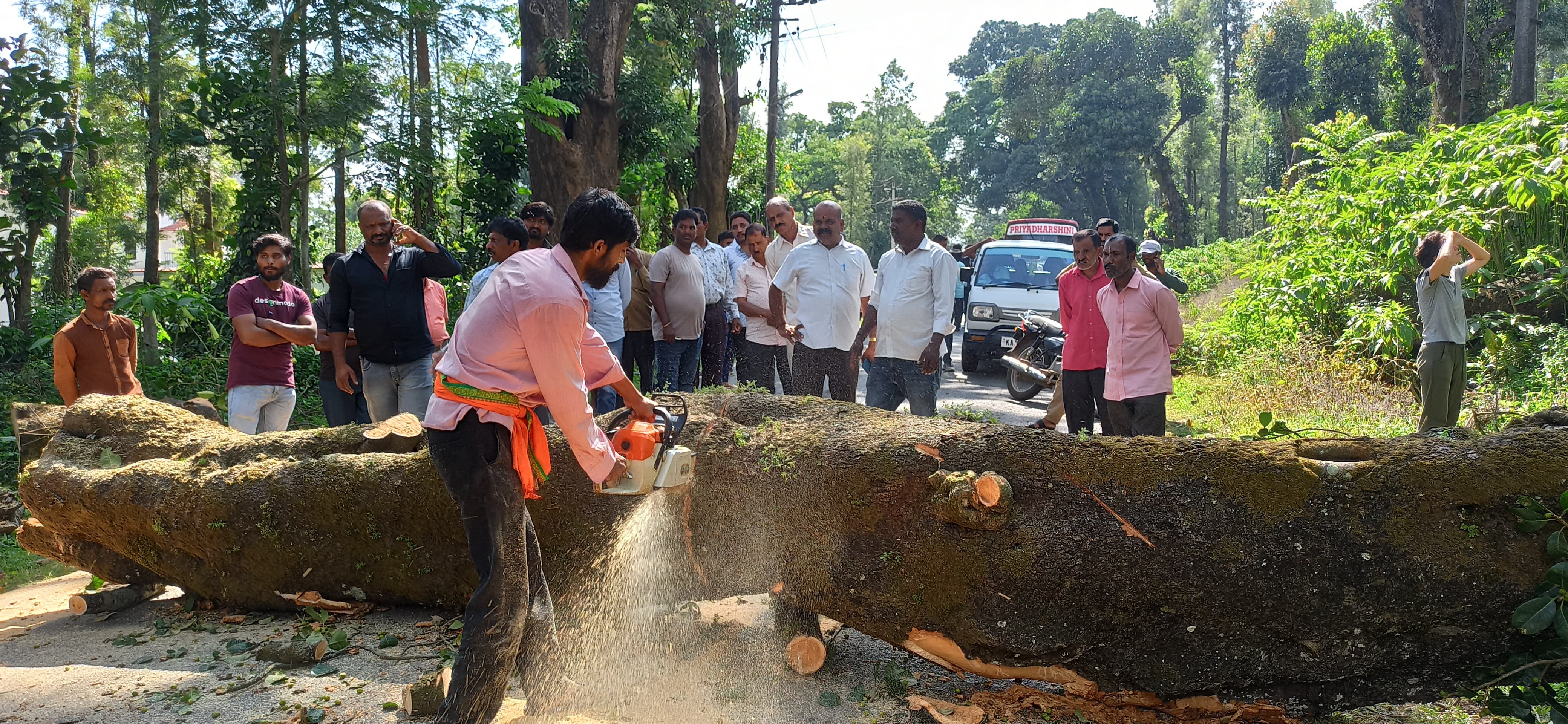 ಸೋಮವಾರಪೇಟೆ ಕಿಬ್ಬೆಟ್ಟ ಗ್ರಾಮದಲ್ಲಿ ರಸ್ತೆಗೆ ಬಿದ್ದಿದ್ದ ಮರವನ್ನು ವಾಹನ ಚಾಲಕರು ಮತ್ತು ಮಾಲೀಕರು ತೆರವುಗೊಳಿಸಿದರು