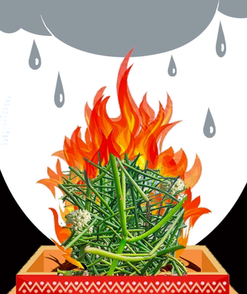 ನಾಗೇಶ ಹೆಗಡೆ ಅವರ ವಿಜ್ಞಾನ ವಿಶೇಷ ಅಂಕಣ: ಸೋಮಯಾಗದಲ್ಲಿ ಅಗ್ನಿ ಮತ್ತು ಮಳೆ