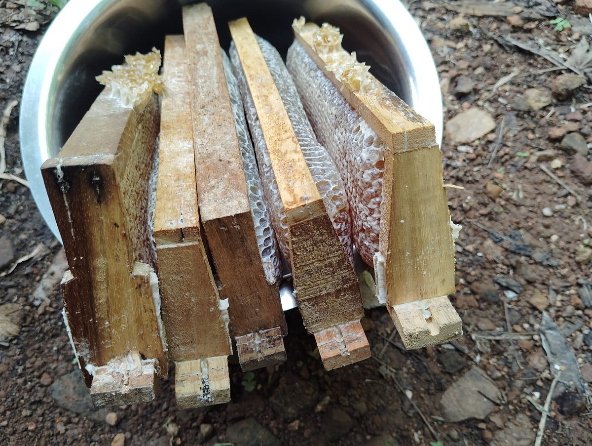 ಬಿಸಿಲಿನ ಧಗೆ: ಜೇನು ಸಾಕಣೆದಾರರಿಗೆ ಬರೆ