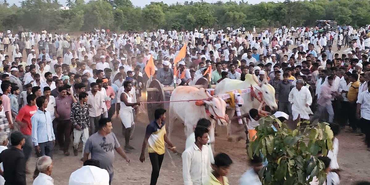 ಮೂಡಲಗಿ: ಗಮನಸೆಳೆದ ತೆರಬಂಡಿ ಸ್ಪರ್ಧೆ