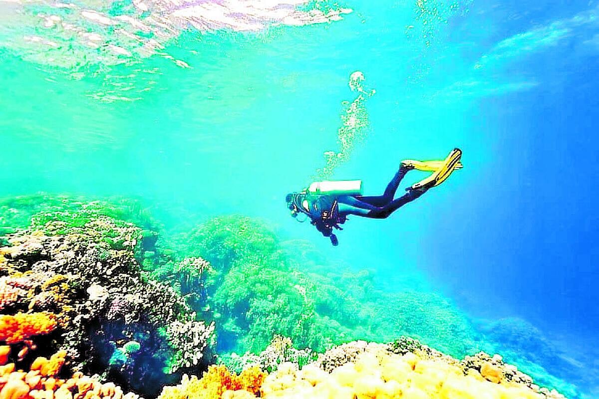 ನೇತ್ರಾಣಿ ದ್ವೀಪ: ಸ್ಕೂಬಾ ಡೈವಿಂಗ್‌ ಜಪ