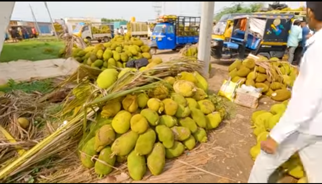 ಚೇಳೂರು ಮಾರುಕಟ್ಟೆಯಲ್ಲಿ ಹಲಸಿನ ಹಣ್ಣು ತಂದು ಗುಡ್ಡೆ ಹಾಕಿರುವುದು