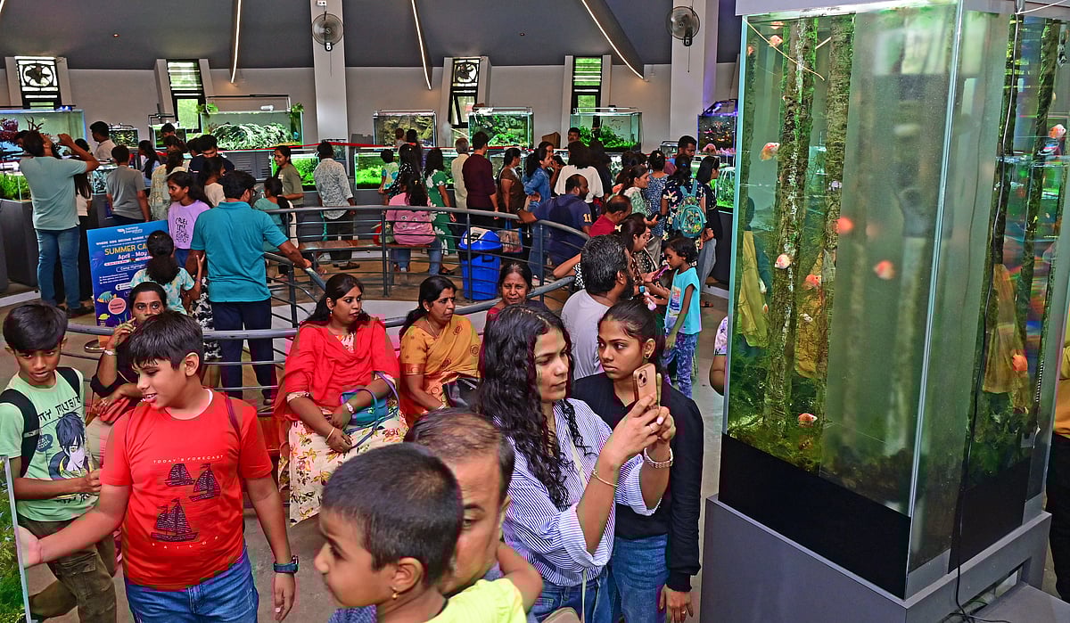 Brand Bengaluru | ಮತ್ಸ್ಯಾಲಯದ ಮರು ಅಭಿವೃದ್ಧಿ: ಬಣ್ಣದ ಮೀನು... ಬನ್ನಿ ನೋಡೋಣು