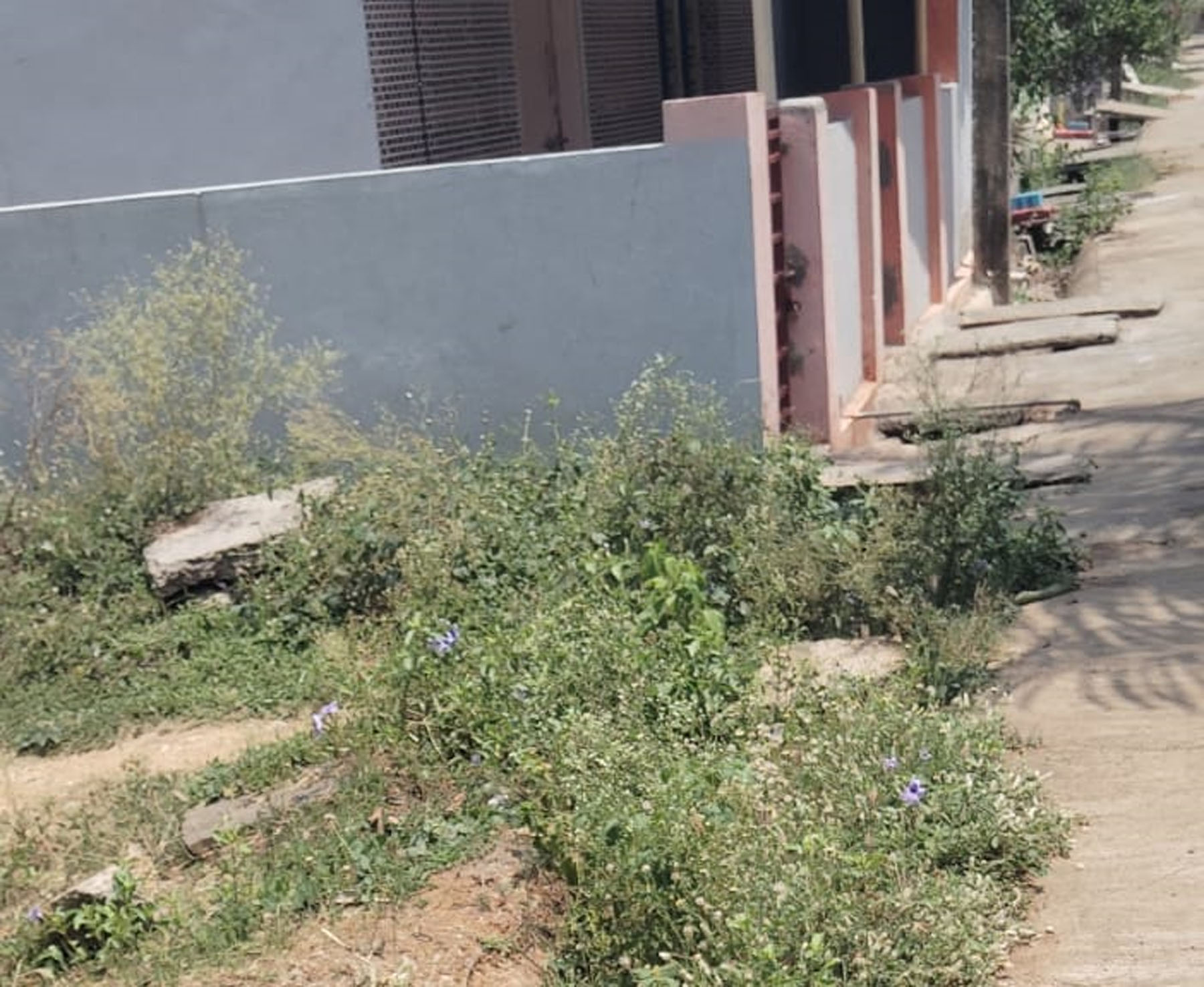 ಹೂಳು ತುಂಬಿದ ಚರಂಡಿಗಳು.