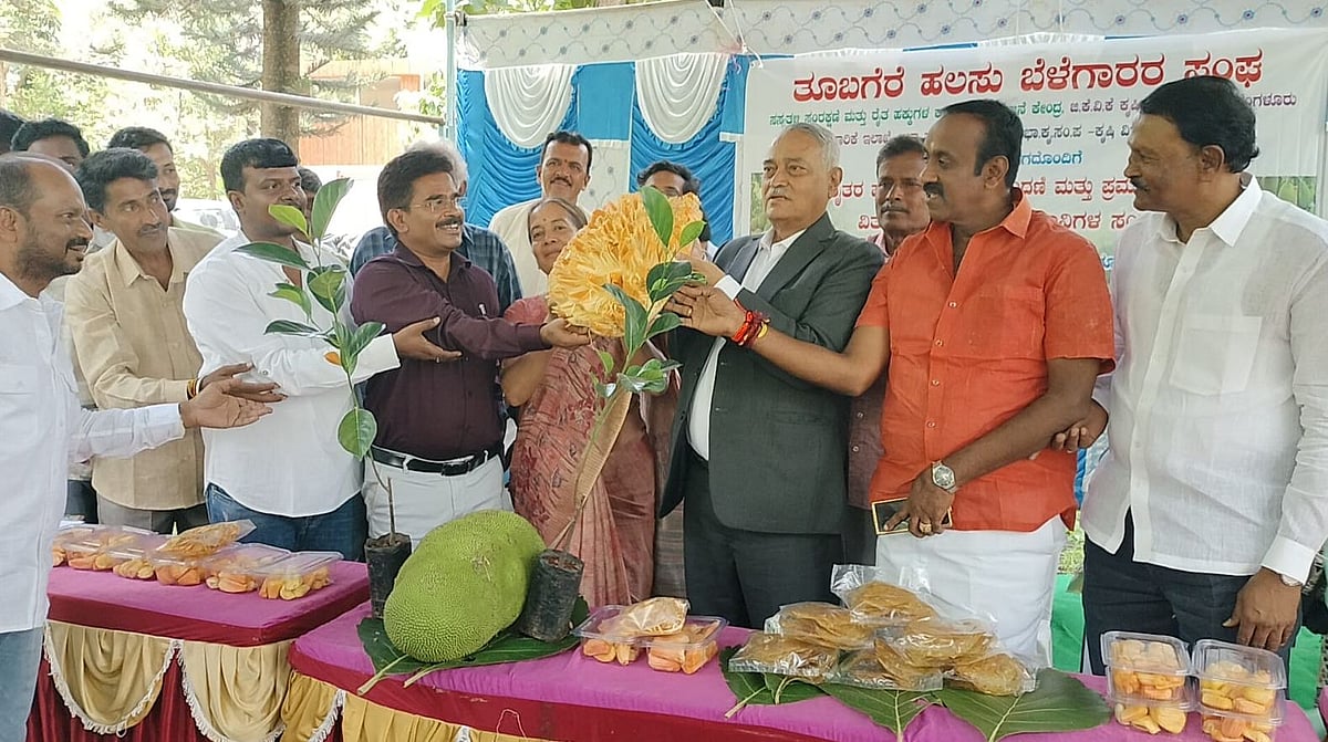 ದೊಡ್ಡಬಳ್ಳಾಪುರ: ತೂಬಗೆರೆ ಹಲಸಿನ ಹಣ್ಣಿಗೆ ರಾಷ್ಟ್ರಮಟ್ಟದ ಪೇಟೆಂಟ್