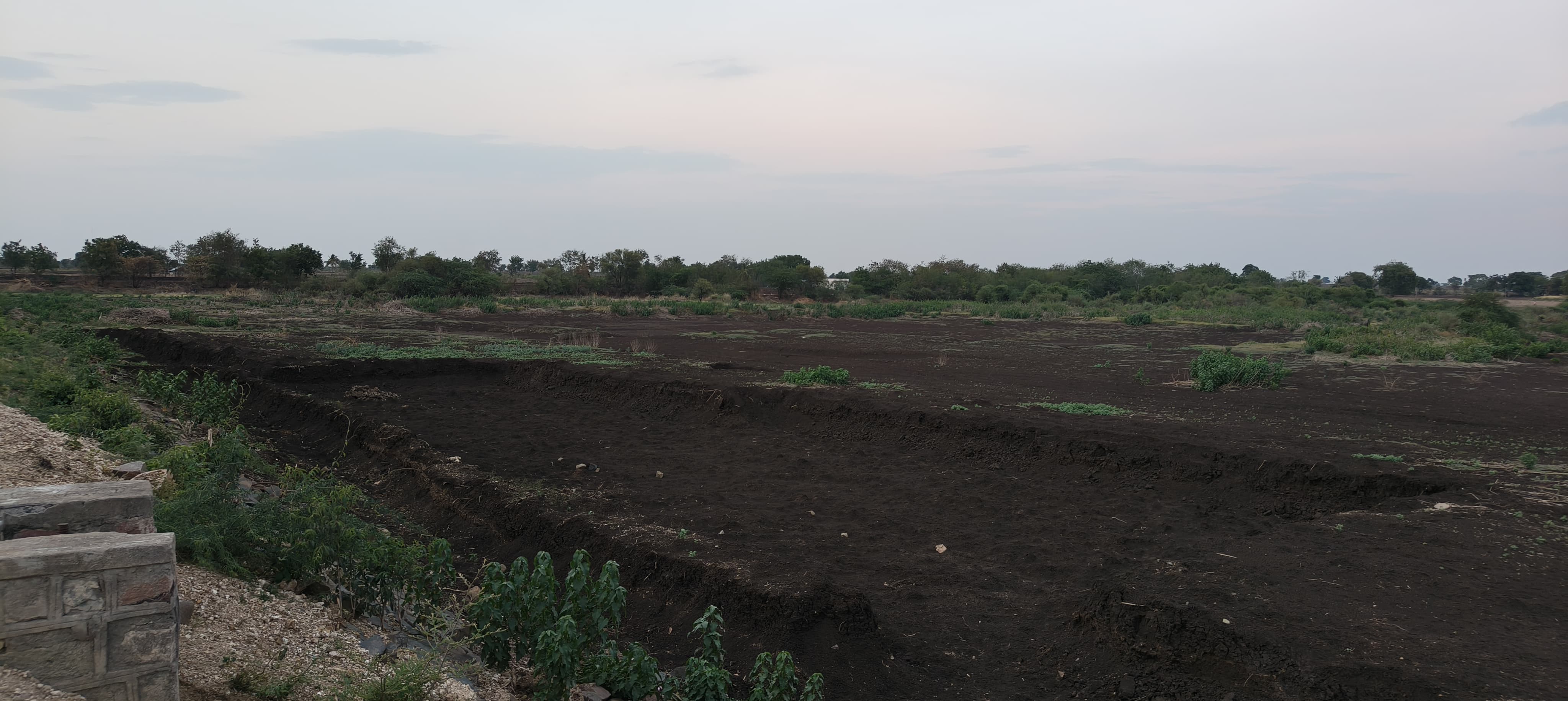 ಹಟ್ಟಿ ಸಮೀಪದ ಕಾಳೇಶ್ವರ ಕೆರೆ ನೀರಿಲ್ಲದೆ ಬರಿದಾಗಿದೆ