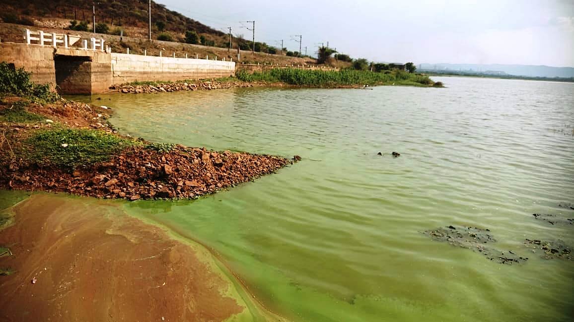 ಹಸಿರು ಬಣ್ಣಕ್ಕೆ ತಿರುಗಿದ ದರೋಜಿ ಕೆರೆ: ಆತಂಕ