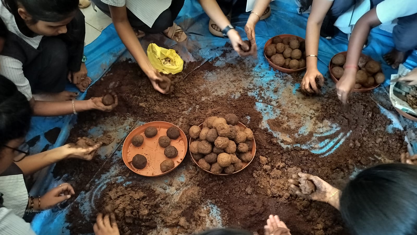 ಬೀಜದುಂಡೆ