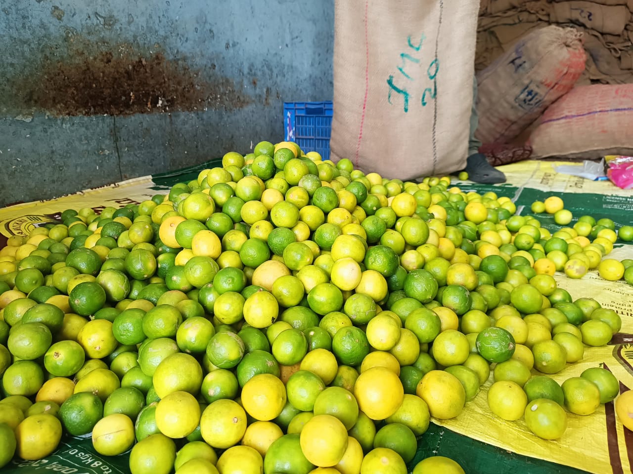 ನಗರದ ಎಪಿಎಂಸಿ ಮಾರುಕಟ್ಟೆಯಲ್ಲಿ ನಿಂಬೆಹಣ್ಣು ಮಾರಾಟ