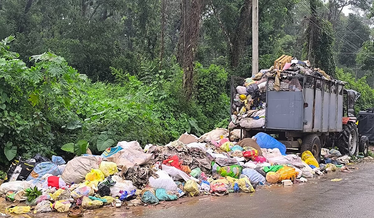 ಸಿದ್ದಾಪುರ | ತ್ಯಾಜ್ಯದ ರಾಶಿ: ರೋಗದ ಭೀತಿ