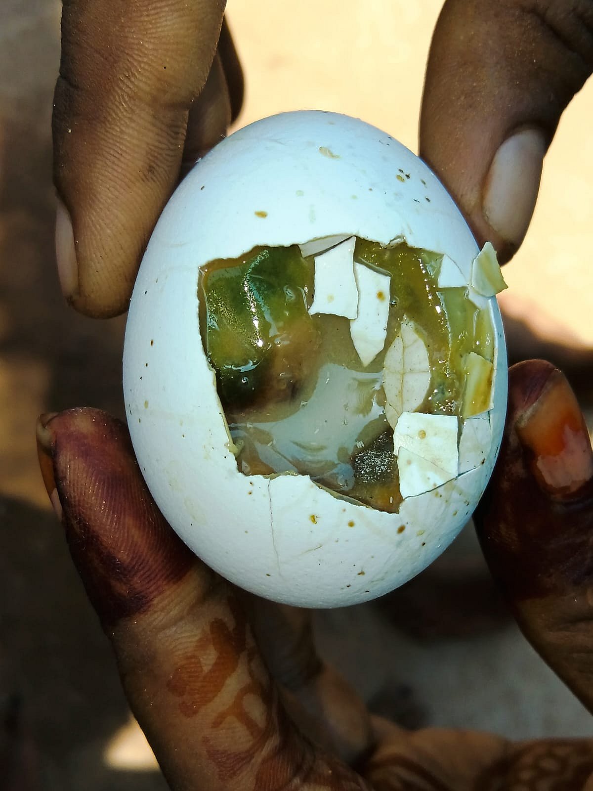 ಪೌಷ್ಟಿಕ ಆಹಾರ ವಿತರಣೆಯಲ್ಲೂ ಕೊರಗರ ನಿರ್ಲಕ್ಷ್ಯ