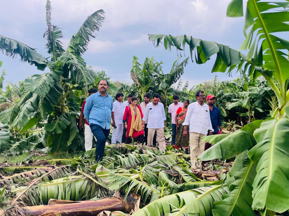 ಕಲಬುರಗಿ ತಾಲ್ಲೂಕಿನ ನಂದೂರು (ಬಿ) ಗ್ರಾಮದ ವ್ಯಾಪ್ತಿಯಲ್ಲಿ ಗಾಳಿ ಮಳೆಯಿಂದ ಹಾನಿಗೀಡಾದ ಬಾಳೆ ತೋಟಕ್ಕೆ ಶಾಸಕ ಬಸವರಾಜ ಮತ್ತಿಮಡು ಭೇಟಿ ನೀಡಿ ಪರಿಶೀಲಿಸಿದರು