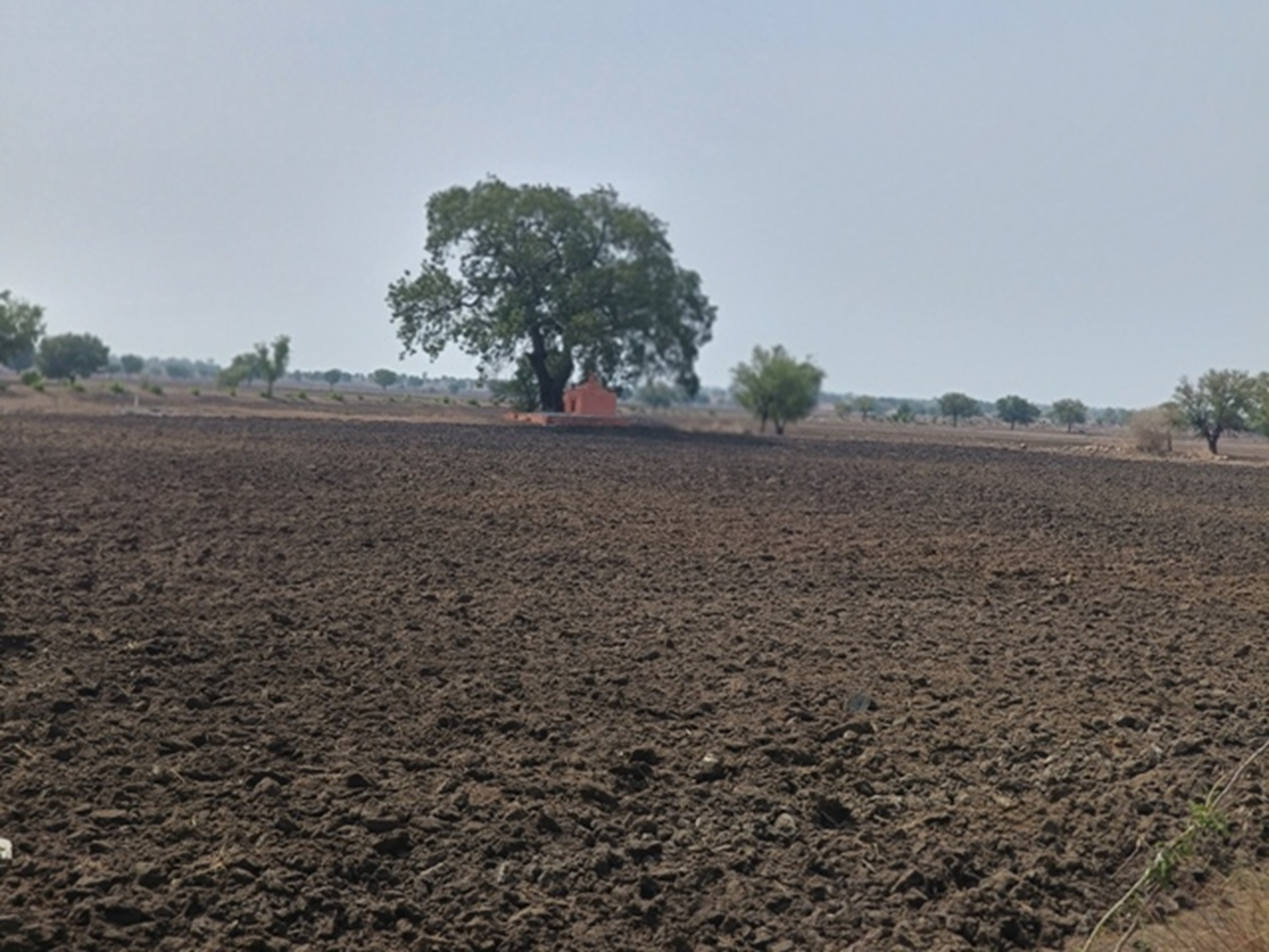 ವಡಗೇರಾ ಸೀಮಾಂತರ ಪ್ರದೇಶದಲ್ಲಿ ಮುಂಗಾರು ಬಿತ್ತನೆಗಾಗಿ ಜಮೀನನ್ನು ಹದ ಮಾಡಿರುವುದು