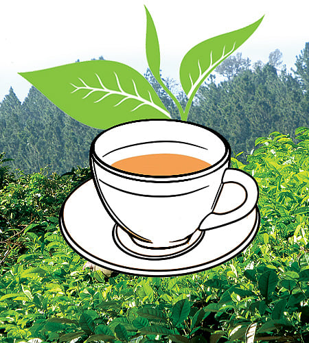 ಸಂಗತ: ಚಹಾದ ಘಮ, ಅದಕ್ಕೊಂದು ದಿನ!