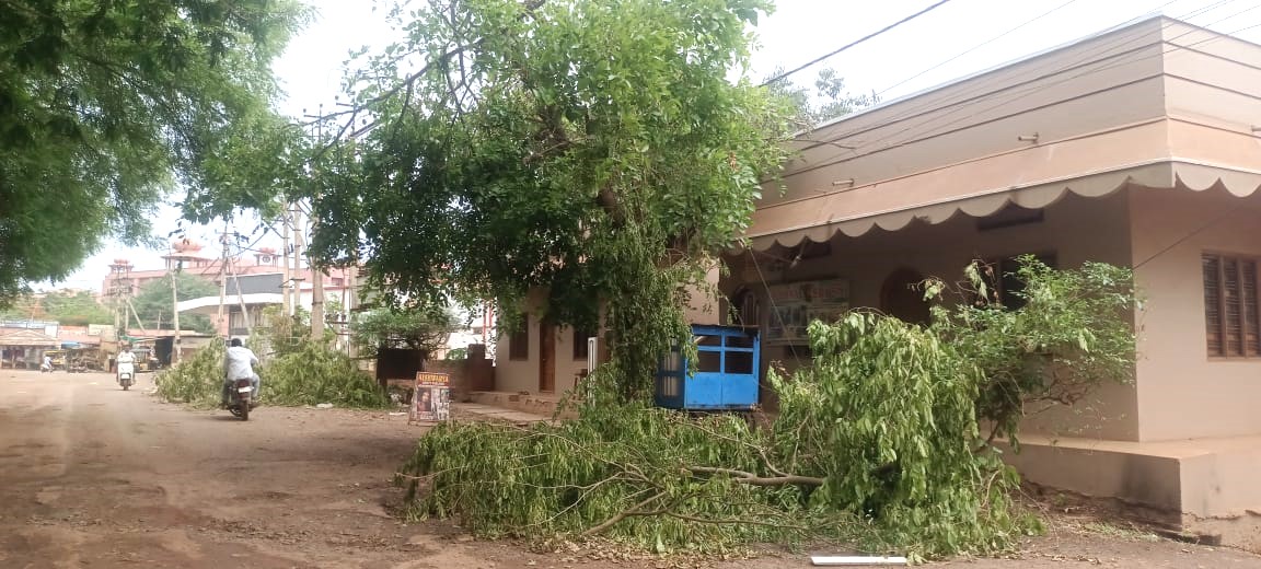 ಬೀದರ್‌ನ ಗುಂಪಾ ರಸ್ತೆಯಲ್ಲಿ ರಸ್ತೆಬದಿಯ ಬೇವಿನ ಮರಗಳನ್ನು ಕತ್ತರಿಸಿರುವುದು
