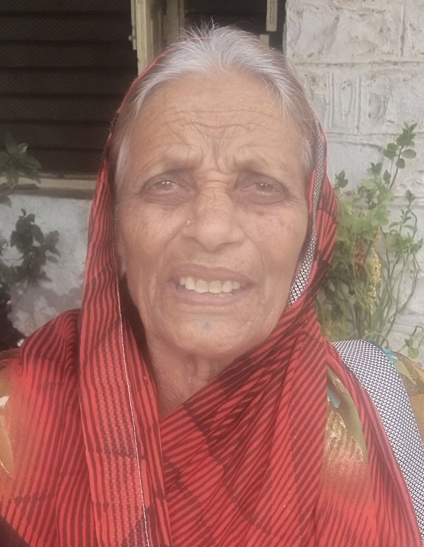ಪದ್ಮಿನಿಬಾಯಿ