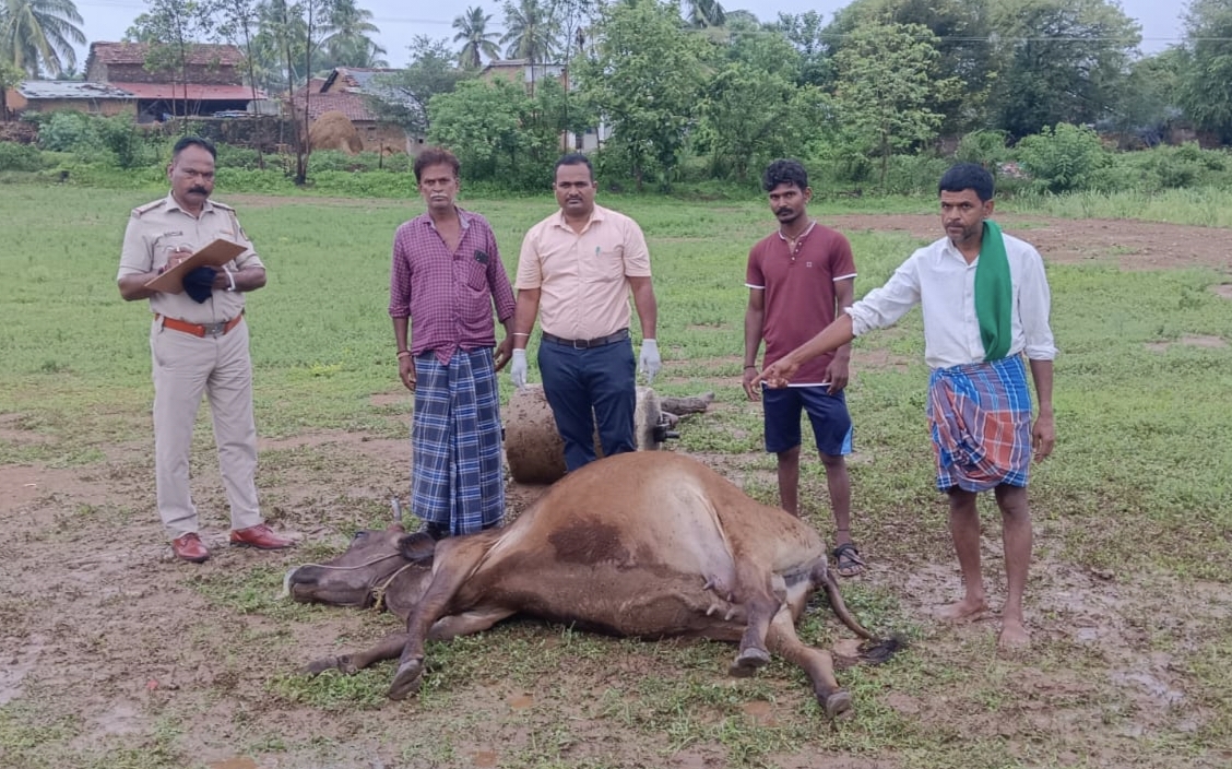 ಕಲಘಟಗಿ ತಾಲ್ಲೂಕಿನ ಬೀರವಳ್ಳಿ ಗ್ರಾಮದ ನೀಲಕಂಠಗೌಡ ಪಾಟೀಲ ಎಂಬುವರಿಗೆ ಸೇರಿದ ಜಾನುವಾರ (ಆಕಳು) ಕ್ಕೆ ಸಿಡಿಲು ಬಡಿದು ಸಾವನಪ್ಪಿರುವ ಸ್ಥಳಕ್ಕೆ ಪೊಲೀಸರು ಹಾಗೂ ಪಶು ವೈದ್ಯಾಧಿಕಾರಿಗಳು ಭೇಟಿ ನೀಡಿ ಮಾಹಿತಿ ಪಡೆದರು.
