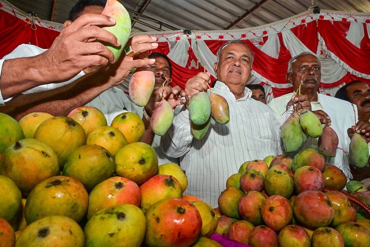 ಮಾವು–ಹಲಸು ಮಾರಾಟ ಮೇಳಕ್ಕೆ ಸಚಿವ ರಾಮಲಿಂಗಾರೆಡ್ಡಿ ಚಾಲನೆ 