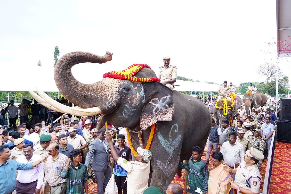 ಆನೆ– ಮಾನವ ಸಂಘರ್ಷ: ತರಬೇತುಗೊಂಡ ನಾಲ್ಕು ಕುಮ್ಕಿ ಆನೆಗಳು ಆಂಧ್ರಕ್ಕೆ ಹಸ್ತಾಂತರ