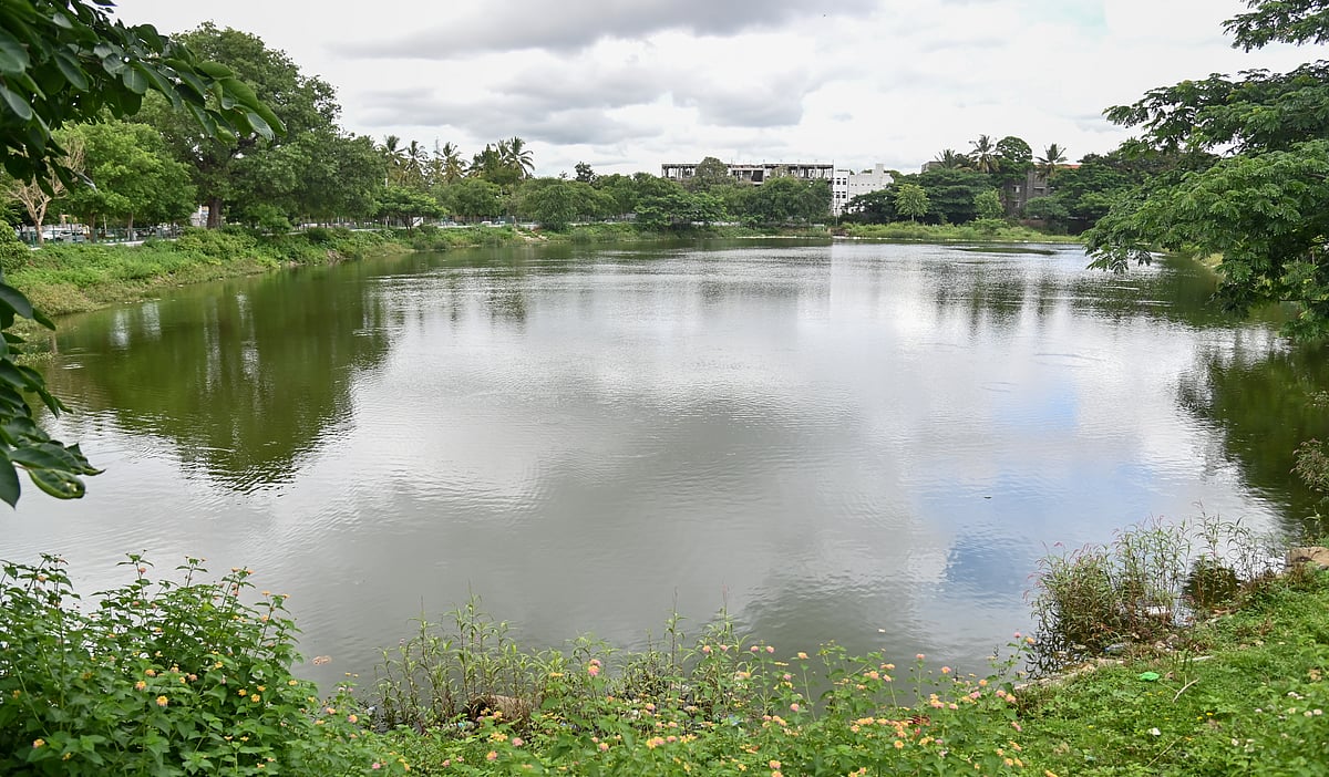ಮೈಸೂರು | ಜನರಿಂದಲೇ ಉಳಿದ ‘ದೇವರ ಕೆರೆ’