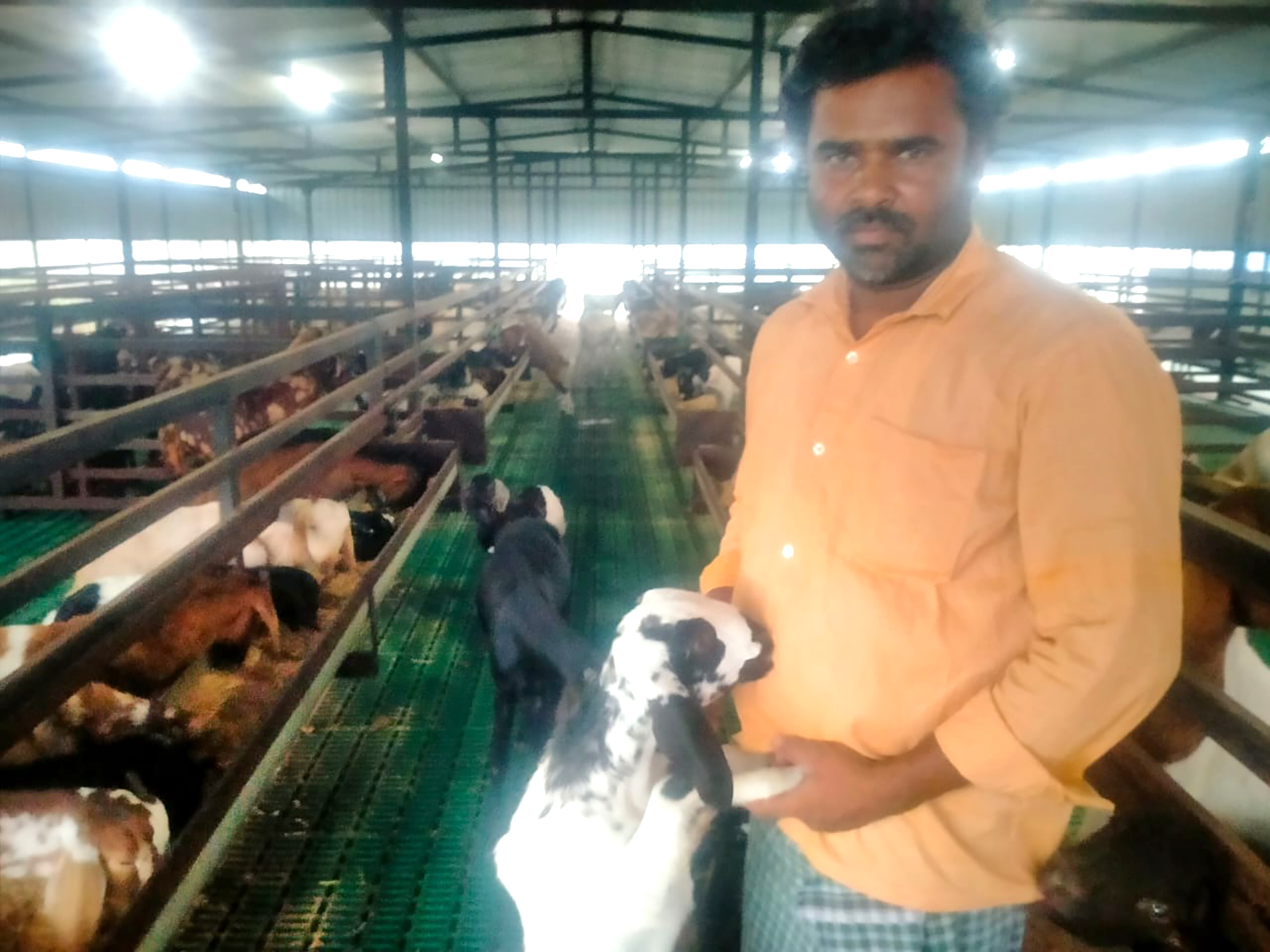 ಆಡಿನ ಶೆಡ್‌ನಲ್ಲಿ ಅಣ್ಣಿಗೇರಿ ತಾಲ್ಲೂಕಿನ ಬಲ್ಲರವಾಡ ಗ್ರಾಮದ ರೈತ ಪ್ರವೀಣ ಶೆರವಾಡ 