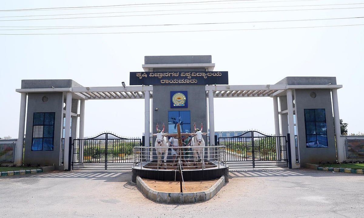 ಇದೇ 26ಕ್ಕೆ ರಾಯಚೂರು ಕೃಷಿ ವಿವಿ ಘಟಿಕೋತ್ಸವ | 488 ಪದವಿ ಪ್ರದಾನಕ್ಕೆ ಸಿದ್ಧತೆ