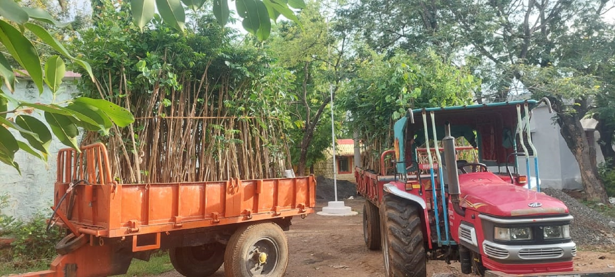 ಚಿಂಚೋಳಿಯ ಪ್ರಾದೇಶಿಕ ಅರಣ್ಯ ವಲಯದ ಕಚೇರಿಯ ಮುಂದೆ ನೆಡುತೋಪು ಅಭಿವೃದ್ಧಿಗೆ ಗೊತ್ತುಪಡಿಸಿದ ಸ್ಥಳಕ್ಕೆ ಟ್ರ್ಯಾಕ್ಟರ್‌ನಲ್ಲಿ ಸಾಗಿಸಲು ಸಿದ್ಧವಾಗಿರುವ ಸಸಿಗಳು