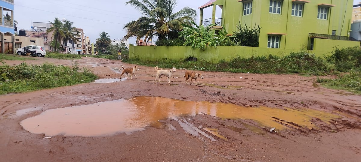 ಚಾಮರಾಜನಗರ | ಮಳೆಗಾಲ: ಈ ವರ್ಷವೂ ತಪ್ಪದ ಸಂಕಟ