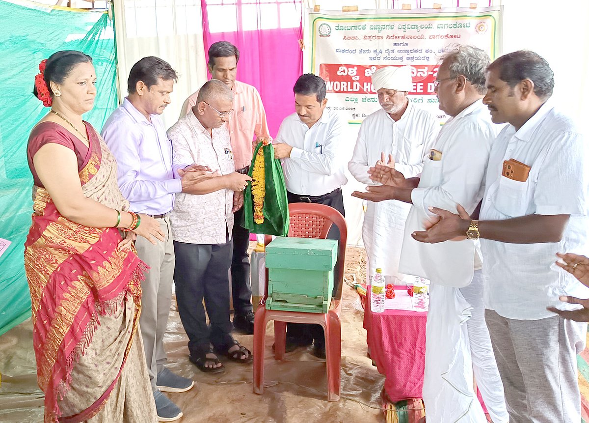 ಗುಳೇದಗುಡ್ಡ: ಜೇನು ಸಾಕಾಣಿಕೆಯಿಂದ ಉತ್ತಮ ಆದಾಯ