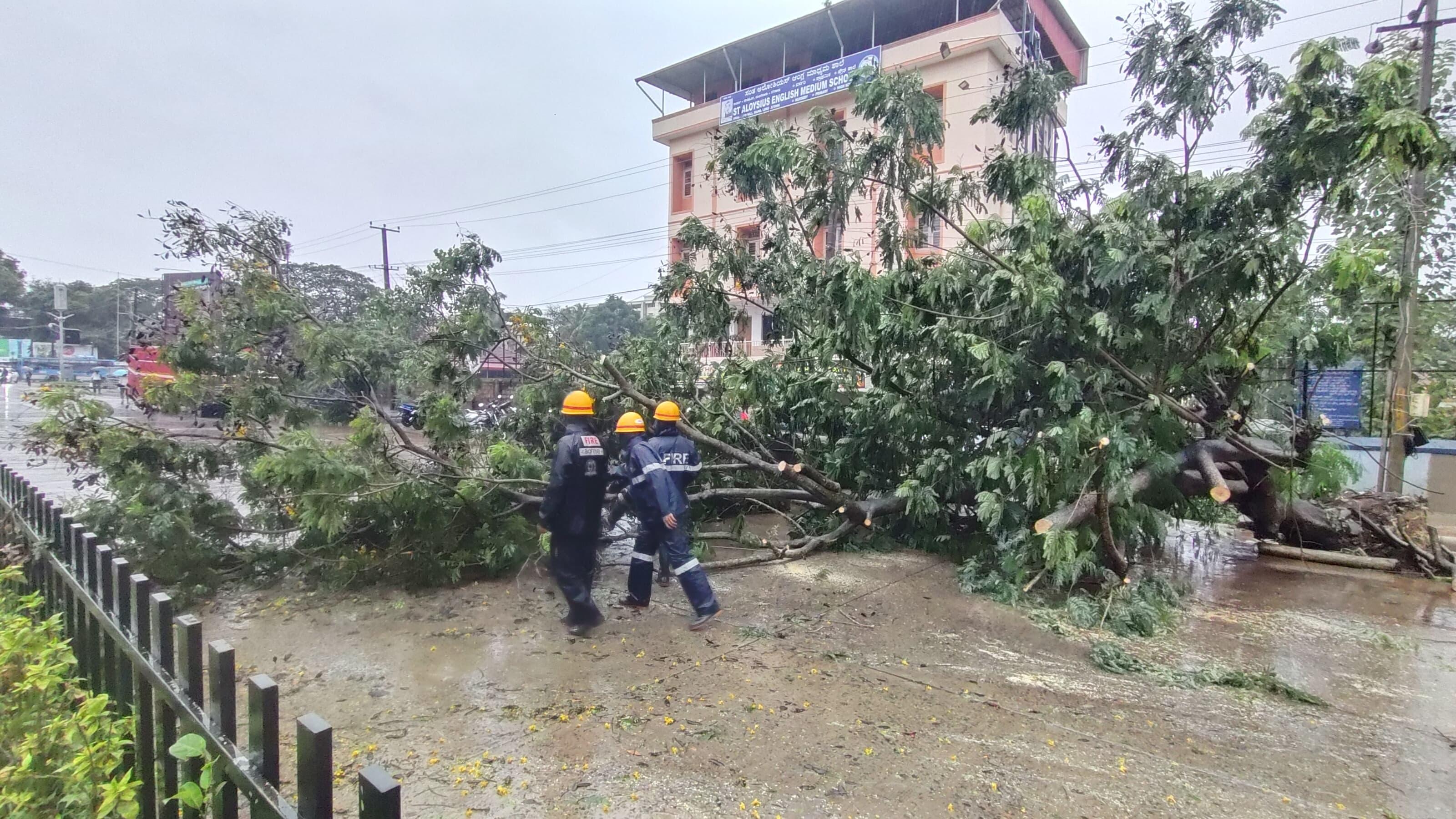 ಮಂಗಳೂರಿನ ಲೇಡಿಹಿಲ್‌ನಲ್ಲಿ ಭಾರಿ ಗಾತ್ರದ ಮರವೊಂದು ಸೋಮವಾರ ರಸ್ತೆಗೆ ಬಿದ್ದಿತು