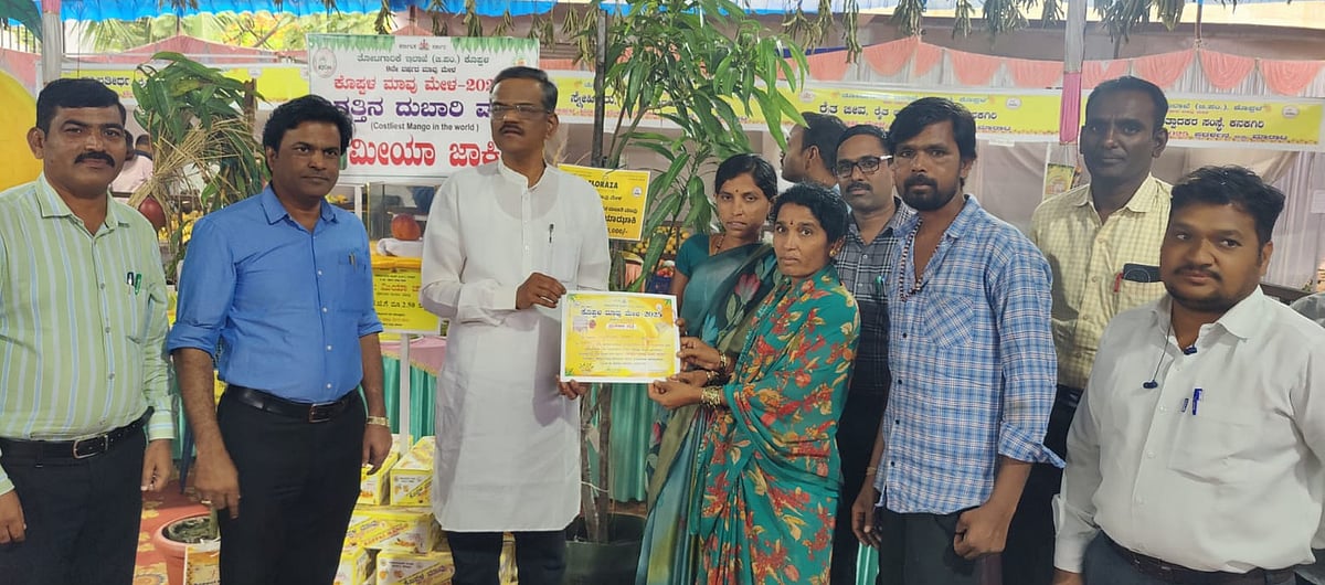 ಮಾವು ಮೇಳಕ್ಕೆತೆರೆ; ₹2.60 ಕೋಟಿಗೂ ಹೆಚ್ಚು ವಹಿವಾಟು