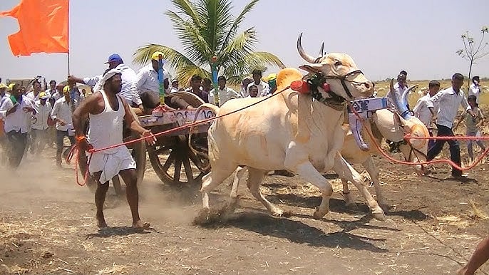 ಮುನವಳ್ಳಿ: ಮೇ.29 ರಂದು ತೆರೆಬಂಡಿ ಸ್ಪರ್ಧೆ 