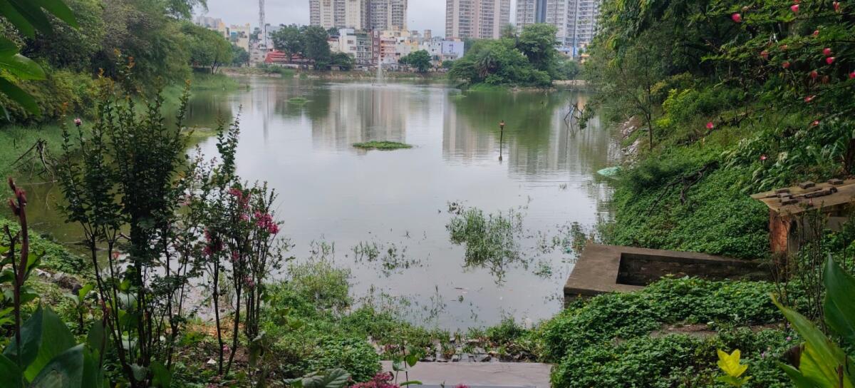 ಹಸಿರು– ಜಲಸಿರಿಯೊಂದಿಗೆ ಪುಟ್ಟೇನಹಳ್ಳಿ ಕೆರೆ