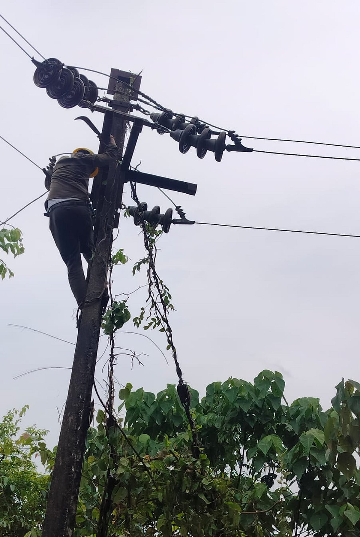 ಉತ್ತರ ಕನ್ನಡ: ಹೆಸ್ಕಾಂ ನಿರ್ವಹಣಾ ವಿಭಾಗ ದುರ್ಬಲ!