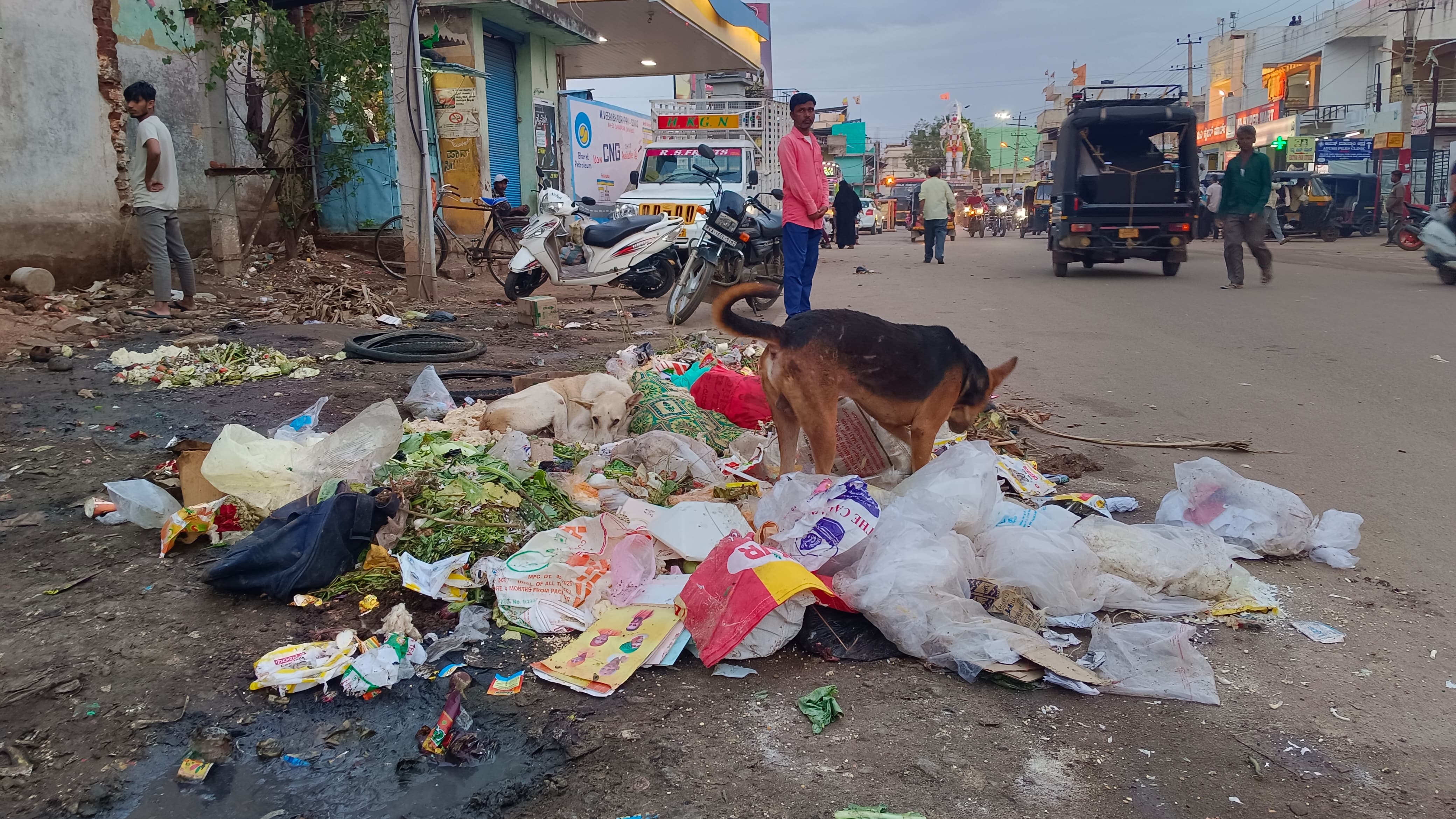 ಹೊಸಪೇಟೆಯಲ್ಲಿ ಮಂಗಳವಾರ ಕಸ ಎತ್ತದ ಕಾರಣ ಮದಕರಿ ನಾಯಕ ವೃತ್ತದ ಬಳಿ ಹಾಗೂ ಇತರ ಹಲವೆಡೆ ಕಸದ ರಾಶಿಗಳ ದೃಶ್ಯ ಸಾಮಾನ್ಯವಾಗಿತ್ತು –ಪ್ರಜಾವಾಣಿ ಚಿತ್ರ/ ಲವ ಕೆ.