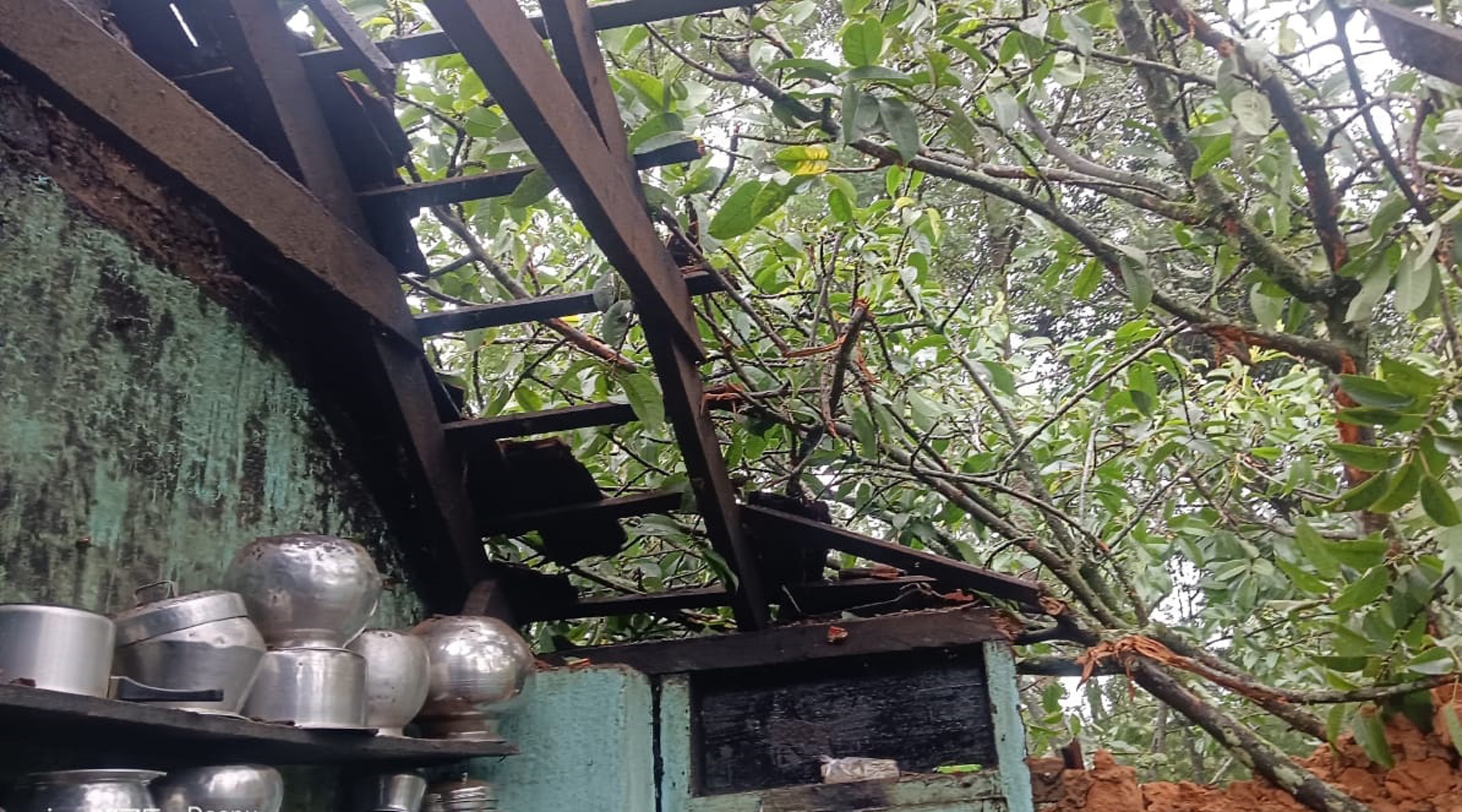 ಮೂಡಿಗೆರೆ ತಾಲ್ಲೂಕಿನ ಬಾಳೂರು ಗ್ರಾಮದಲ್ಲಿ ಕೂಲಿ ಲೈನಿನ ಮೇಲೆ ಮರ ಬಿದ್ದು ಹಾನಿಯಾಗಿದೆ