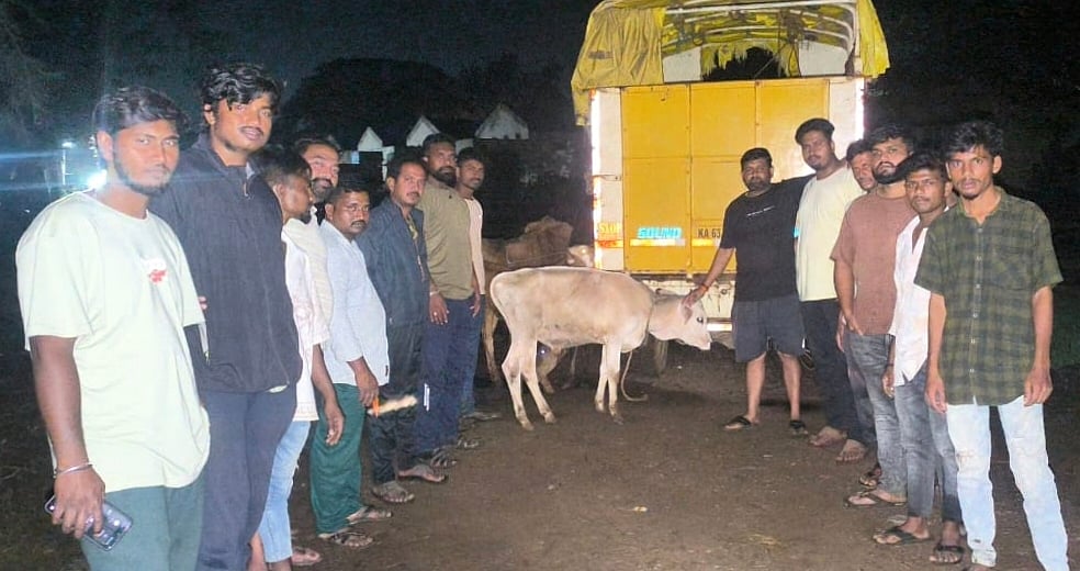 ಕಲಘಟಗಿ: ಕಸಾಯಿ ಖಾನೆಗೆ ಸಾಗಿಸುತ್ತಿದ್ದ ಜಾನುವಾರು ರಕ್ಷಣೆ