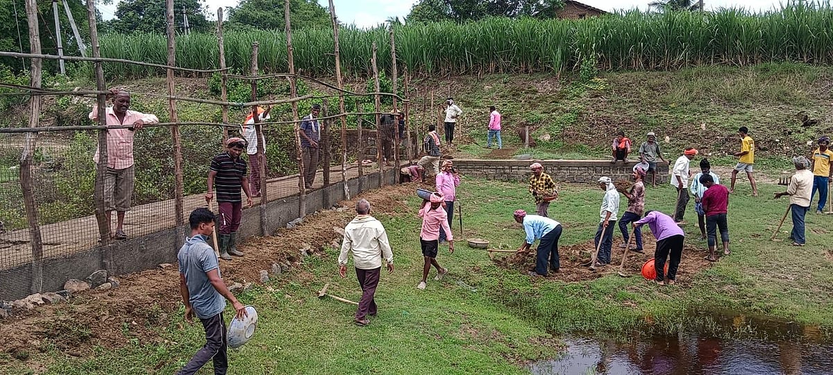 ಹಳಿಯಾಳ: ನೀರು, ಮೀನು ಉಳಿವಿಗೆ ಶ್ರಮದಾನ