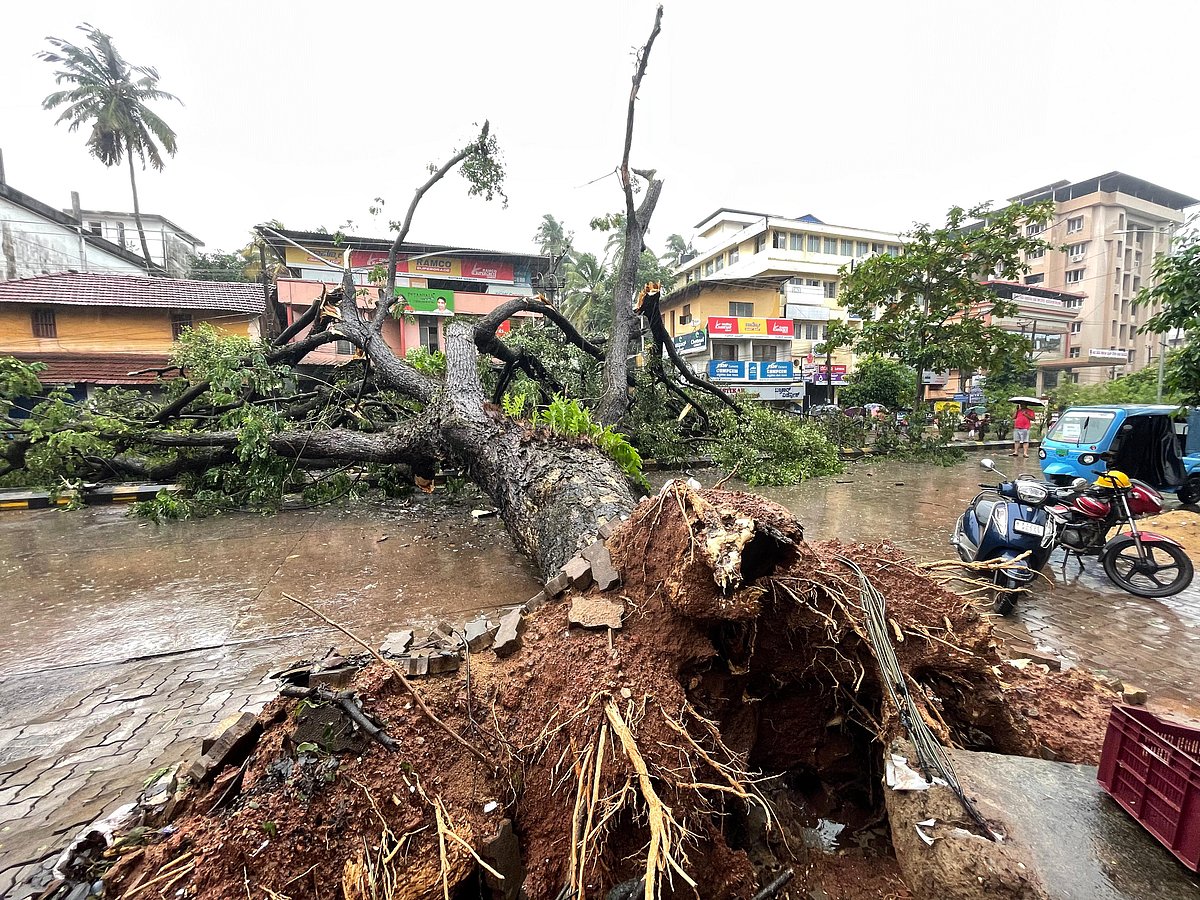 Mangaluru Floods | ಭಾರಿ ಮಳೆ: ಮಂಗಳೂರು ನಗರದಲ್ಲಿ 'ಪ್ರವಾಹ', ಶಾಲೆಗಳಿಗೆ ರಜೆ
