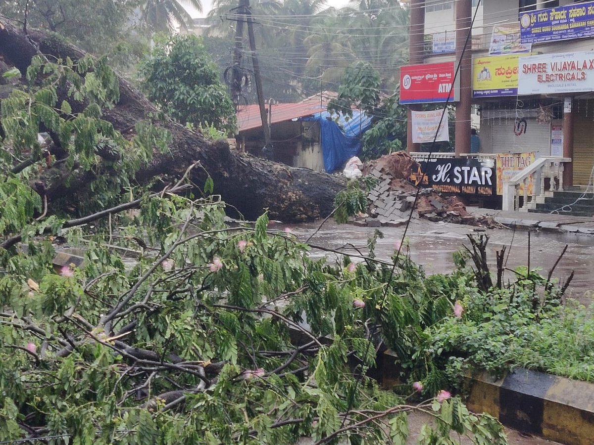 Mangaluru Rains | ಭಾರಿ ಮಳೆ: ಮೂರು ತಾಲ್ಲೂಕುಗಳ ಶಾಲೆಗಳಿಗೆ ಇಂದು ರಜೆ