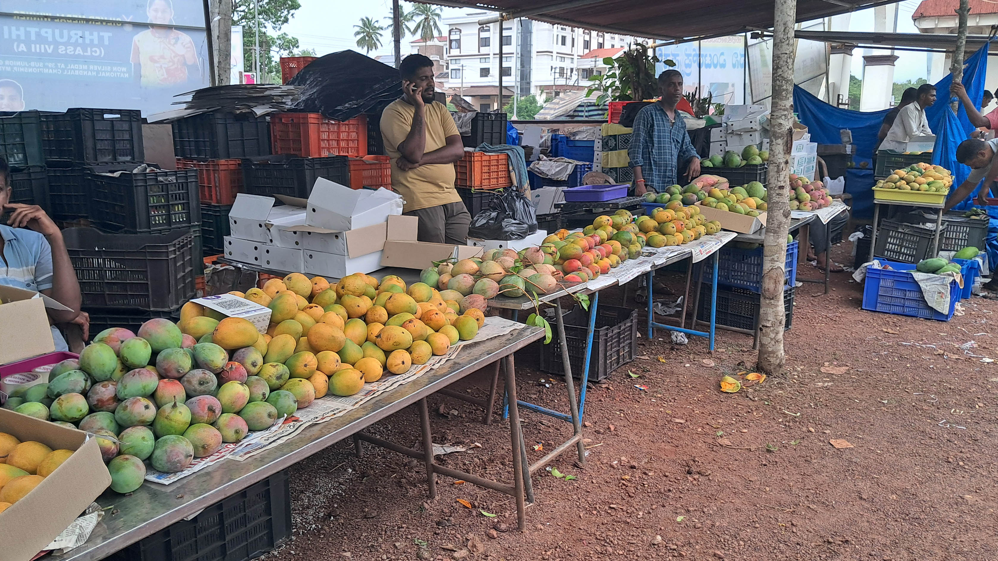 ಮೇಳದಲ್ಲಿ ಕಂಡು ವಿವಿಧ ತಳಿಯ ಮಾವಿನ ಹಣ್ಣುಗಳು